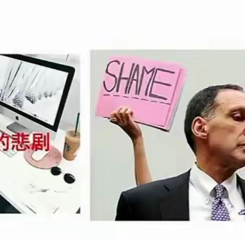飞的文章