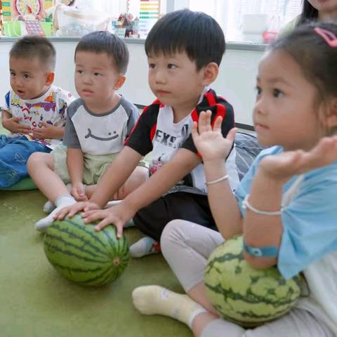 2024.7.12.臻果小屋 西瓜味的夏天