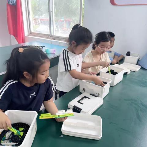 2025年西街小学乐高社团