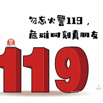 以“演”筑防 以“练”为战——2024 年秋罗白乡民族实验学校消防安全宣传主题活动