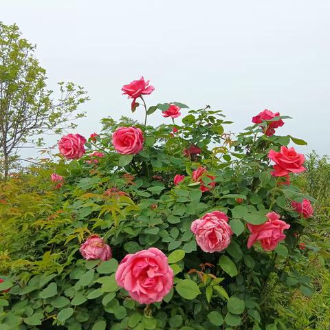 湖北省天门市蒋场镇三阳寺村童伴之家—“珍爱生命，预防溺水”五月主题活动。