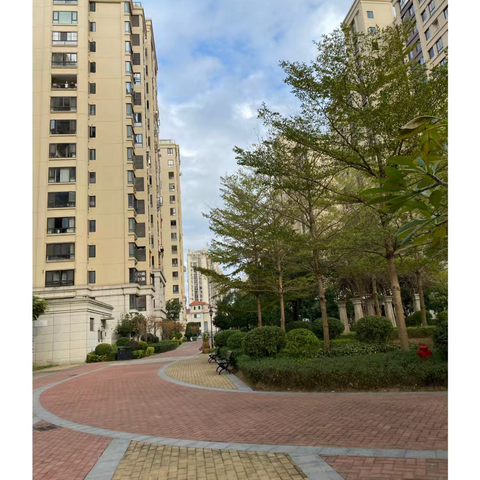 连江恒宇观邸花园2025年12月份工作简报