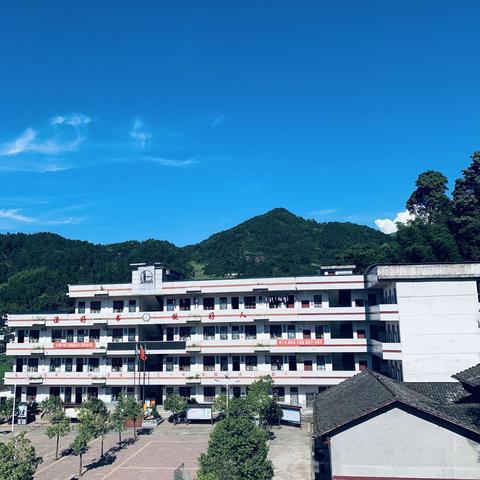 扬芬中心小学2024年下学期招聘保安人员的通告