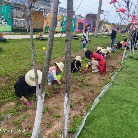 春日趣成长——文润七彩营地 “植物科普向日葵探秘” 亲子研学之旅