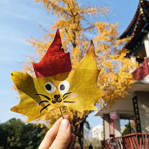 寻秋之美 悟秋之韵———许昌市南关村小学三四班寻秋活动