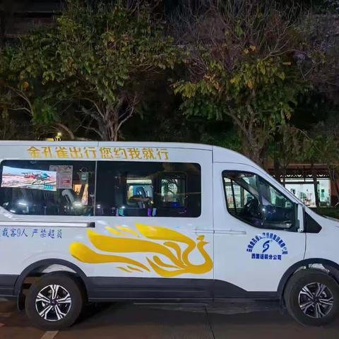 金孔雀全新升级，全新体验