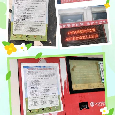 渭泉村开展“保护野生鸟类 共建美好家园”宣传活动