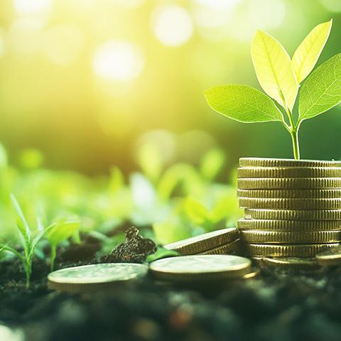 渭泉村开展“养老保险系万家 宣传服务暖人心”