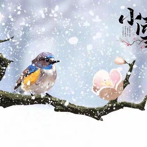 【识节气.知传统】悄然小雪至，冬韵意渐浓———庐山市中心幼儿园小班组二十四节气之小雪