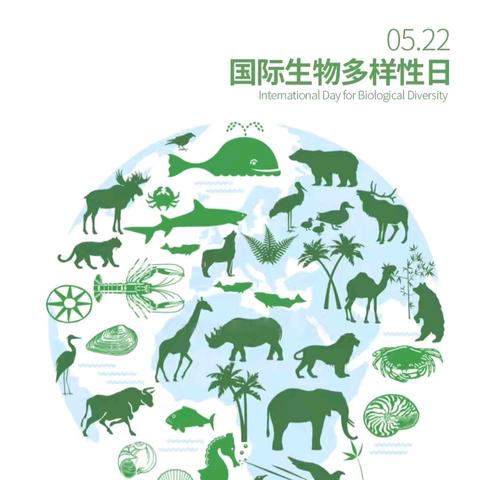 【国师街小学】爱自然 爱生物 爱生命——国师街小学四一中队升旗仪式