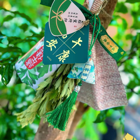 【我们的节日】 「艾香粽情💚岁阔夏庆」 共和家园开展端午游园会