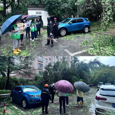 闻“汛”而动 逆“雨”前行 共和家园在行动