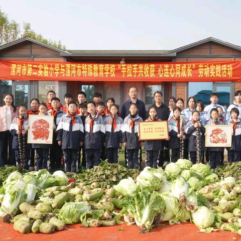 手拉手共收获·心连心同成长——漯河市第二实验小学携手漯河市特殊教育学校开展劳动实践活动