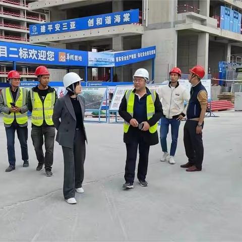 海南省住房和城乡建设厅组织开展建设工程安全生产检查工作