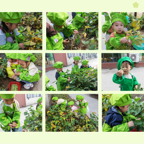 "巧手迎双节，童心庆团圆"—京师幼儿园国庆、中秋双节活动