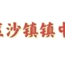 以检查促规范，以规范促提升 ——沙镇镇中心学校教案、作业检查总结