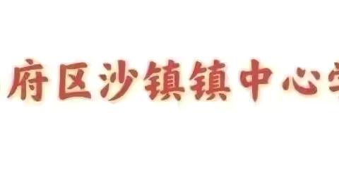 以检查促规范，以规范促提升 ‍ ——沙镇镇中心学校教案、作业检查总结