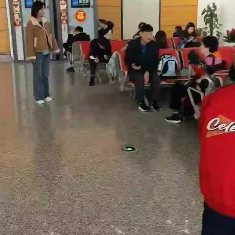 海南日记——龙嘉 海口（2026.2.10）