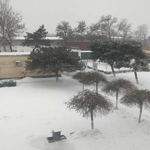 师生同扫雪，齐力共融情—张家庄镇小丰化小学除雪活动