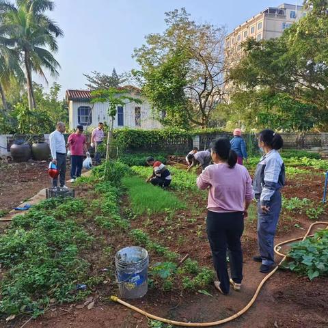 场部社区居委会持续推进人居环境整治工作