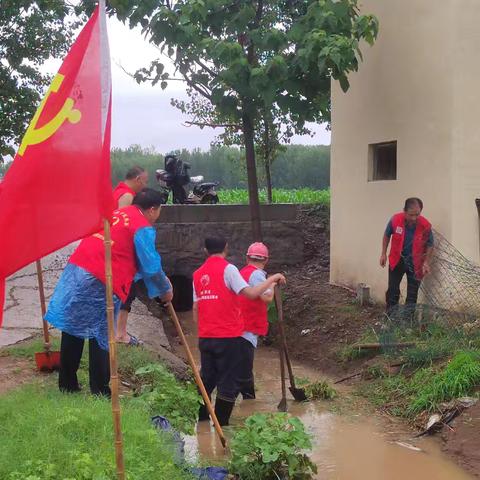 付村街道杨楼二村党员抗洪暴雨，防护农田排水