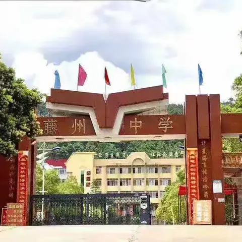 启航九年级，共赴新征程 ——藤县藤州中学2025年秋学期九年级开学启动仪式