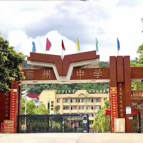 启航九年级，共赴新征程 ——藤县藤州中学2025年秋学期九年级开学启动仪式