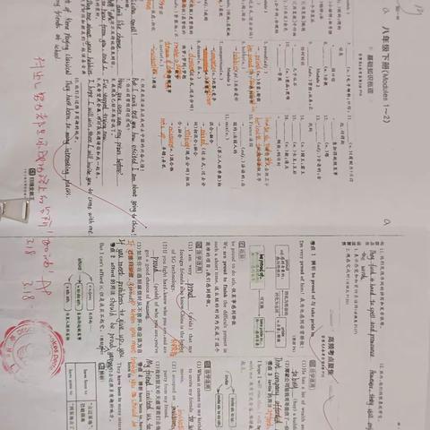 张佳宁同学优秀学案展