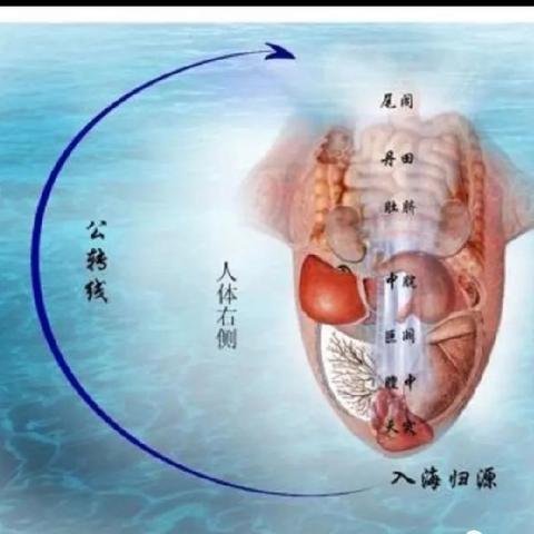 空间医学舌诊小方宿迁面授班1 月13日开课。年后价格上调至5980
