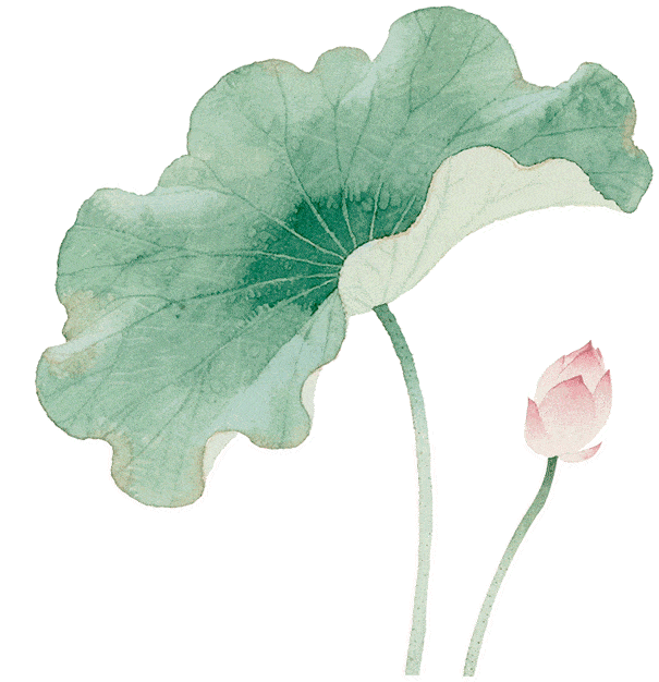 【11月24日—26日成都】非物质文化遗产传承—内服膏方与外用膏药制作+非遗正骨点穴培训班