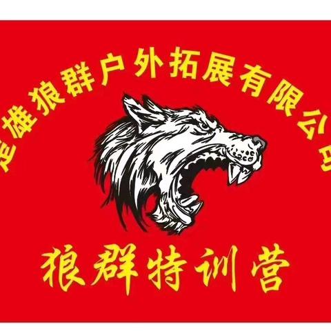 2025楚雄狼群特训营