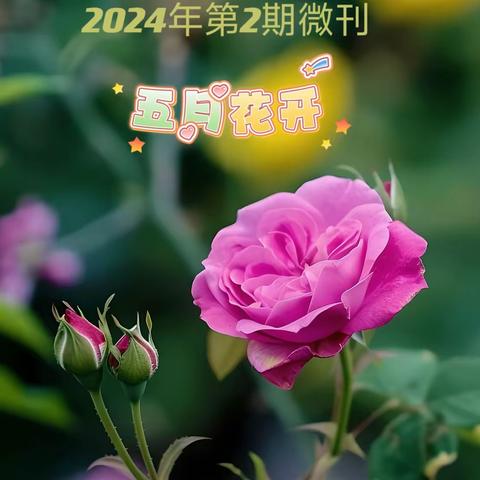 抚顺作协第四文学组微刊 2024年第2期 五月💐花开