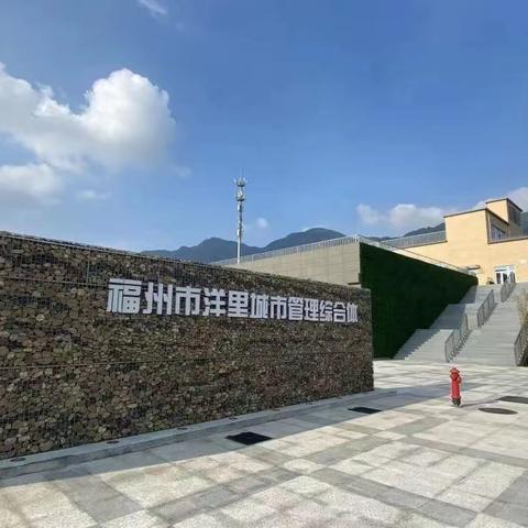 春节不打烊，收运不停歇——洋里前端收运进行时