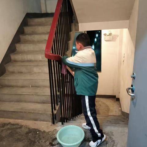 向阳而进，益路前行！八小二年级一班公益劳动。