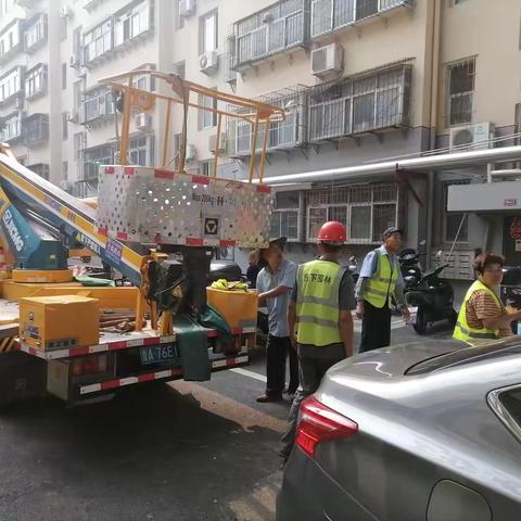 伐树修枝，为民解忧——吉祥苑社区护民“伐树”消除安全隐患