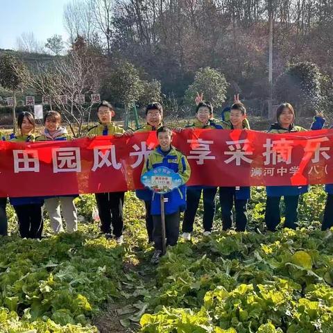 阳光灿烂迎接初冬、亲子菜园乐在其中  ——浉河中学八十二班亲子菜园活动