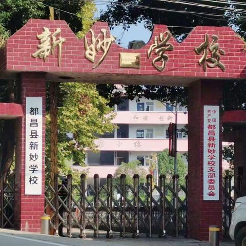 勤教善研，学无止境 ——新妙学校理科组教研纪实