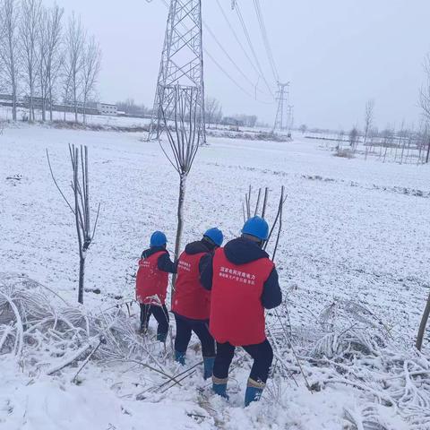 女子雪中巡线忙  安全供电有保障