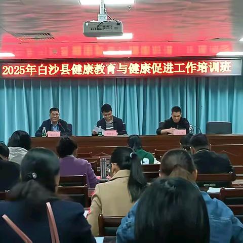 2025年白沙县健康教育与健康促进工作培训班顺利举办