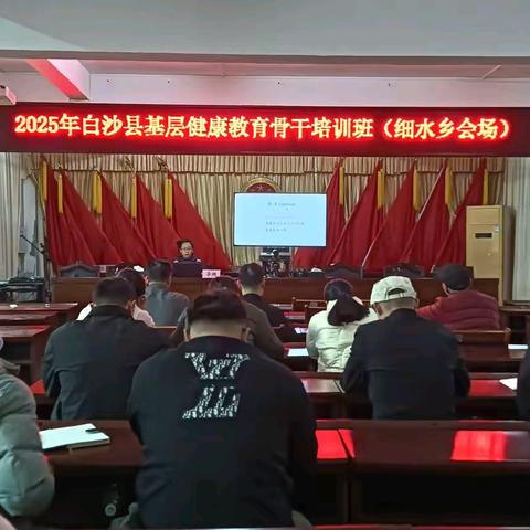 2025年白沙县基层健康教育骨干培训班顺利举办