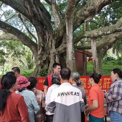 2025年白沙县“2+3”健康服务包肝炎科普宣传活动走进阜龙乡