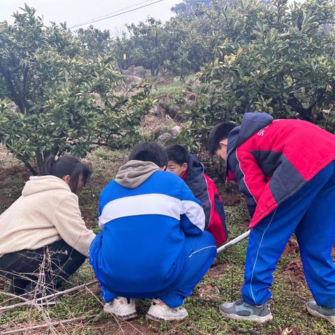 “践行雷锋精神 守护盎然绿意”