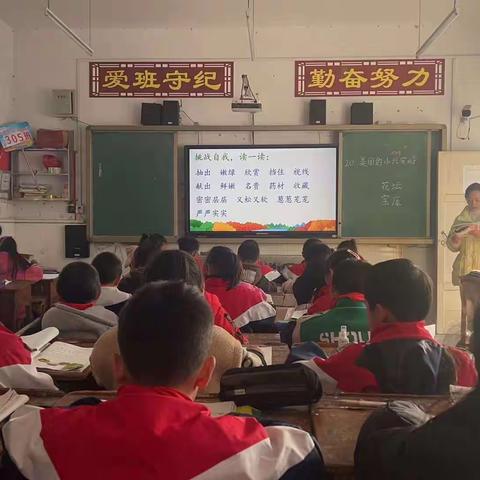 构建单元大概念，在朗读中享受语言之美 -- 李家河镇中心小学三年级语文组教研活动