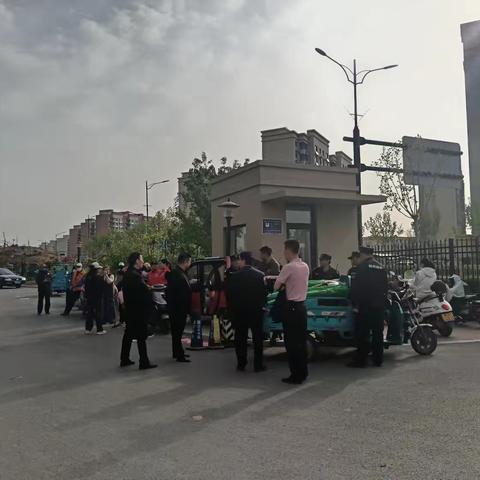 人居环境焕新颜，齐心护绿展新篇