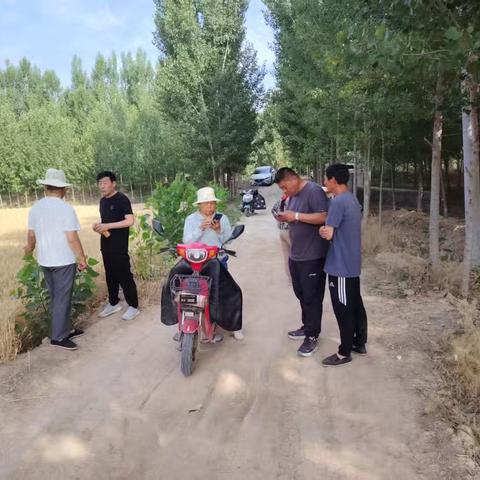 全流程服务保障，打通收麦“最后一公里”