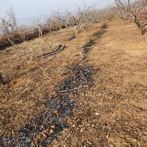 安全隐患及时排查