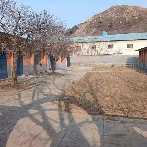 古冶区教育局中小学劳动教育基地建设如火如荼