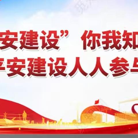 全力推进平安建设 共筑美丽和谐家园----城关街道瑶池头村平安建设宣传活动