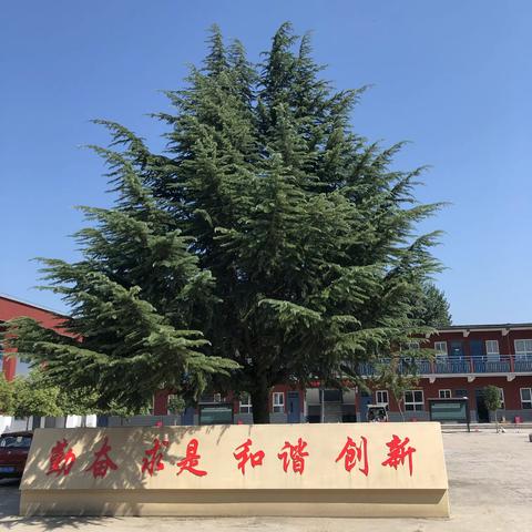 与法同行守护成长 ——苏家渡小学“法治进校园”专题讲座