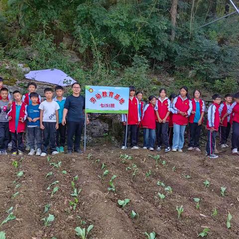 石阡县龙塘镇初级中学七（5）中队劳动实践 ——点亮学生成长之路